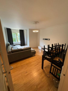 Cozy apart near downtown